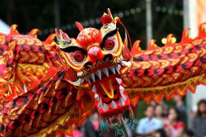 Chinese New Year on the Gold Coast