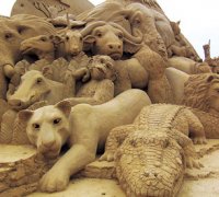 Australian Sand Sculpting Championships