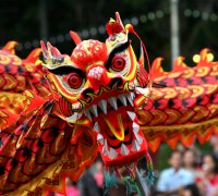 Chinese New Year on the Gold Coast