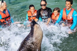Photo from SeaWorld AU Photo from SeaWorld AU