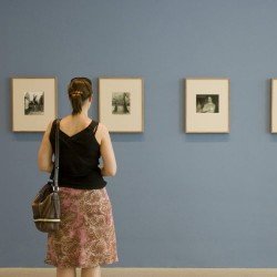 Transparent Watercolour In Queensland 1850s 1980s