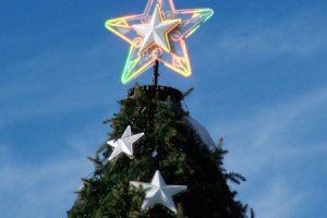 Xmas tree Xmas tree