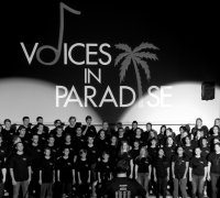 Voices In Paradise